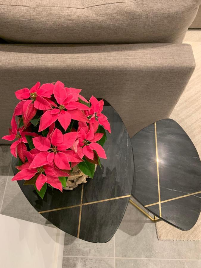 Appartement Op Italielei 安特卫普 外观 照片